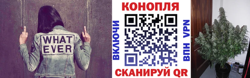 Бошки Шишки Ganja  Коммунар 